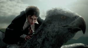 Buckbeak1
